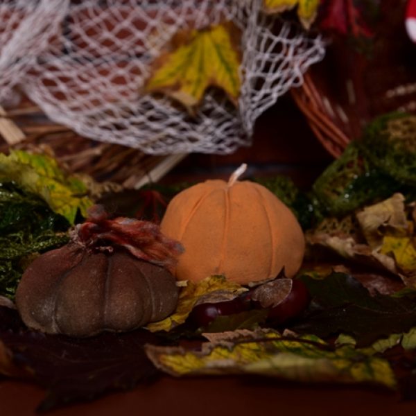 Halloween tok2
